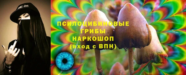 МДПВ Сосновоборск
