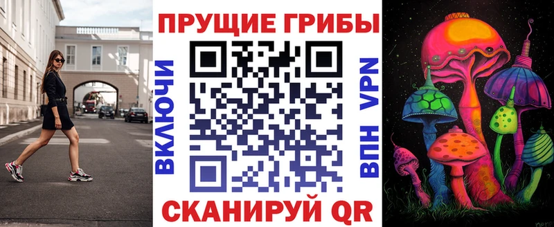 купить  сайты  Мосальск  Псилоцибиновые грибы мицелий 